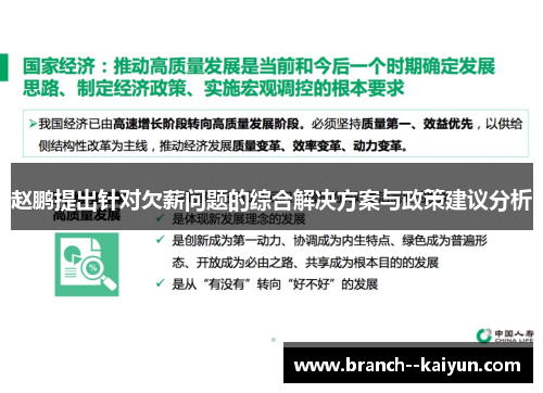 赵鹏提出针对欠薪问题的综合解决方案与政策建议分析 赵鹏提出针对欠薪问题的综合解决方案与政策建议分析