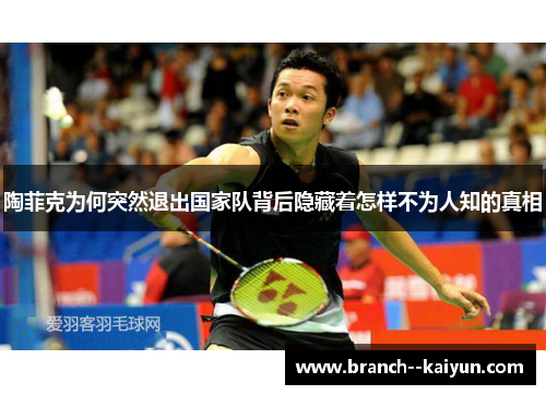 陶菲克为何突然退出国家队背后隐藏着怎样不为人知的真相